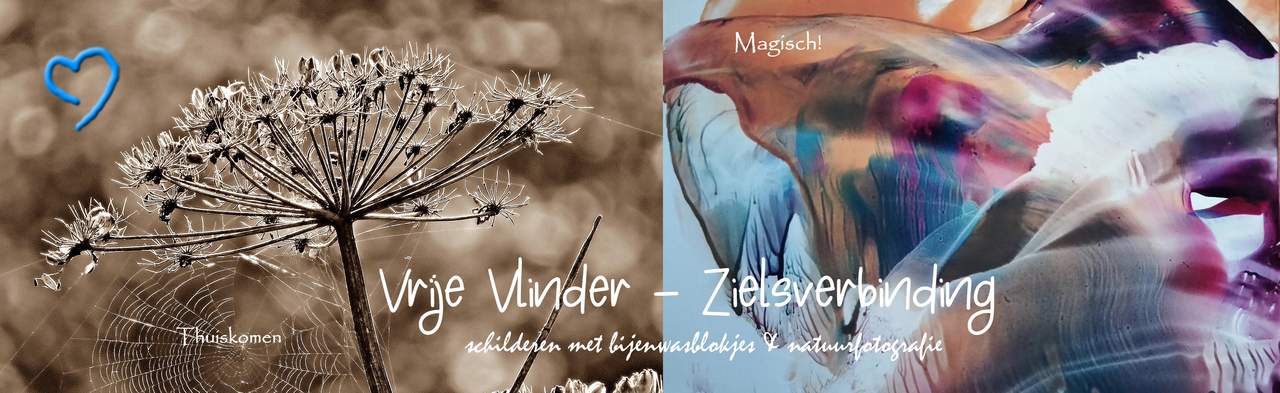 Vrije Vlinder's Magisch Schilderen met Bijenwas