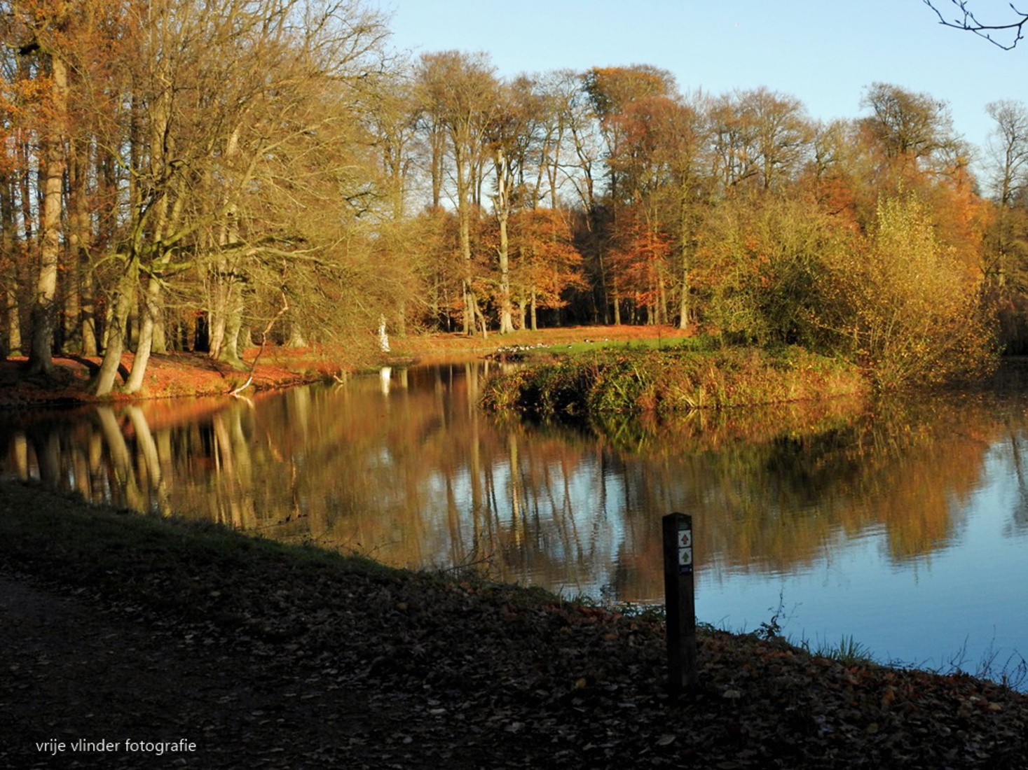 Prachtige weerspiegeling op een zonovergoten middag.