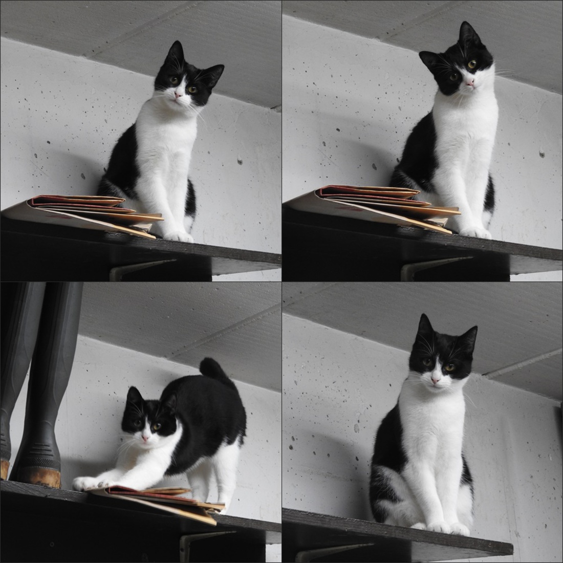 Lotje, een pittige en grappige dame.