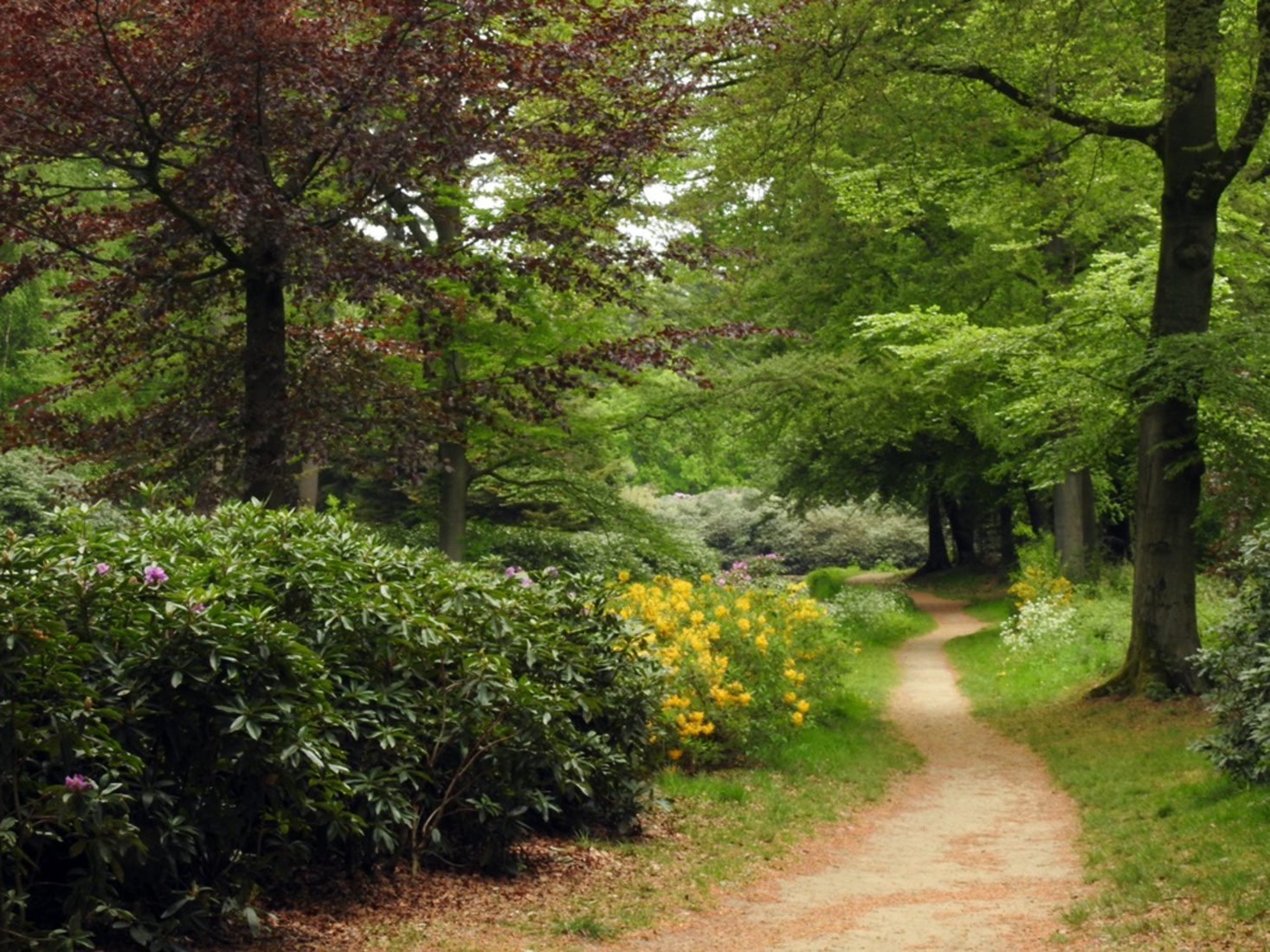 Mooi wat verder in t bos.