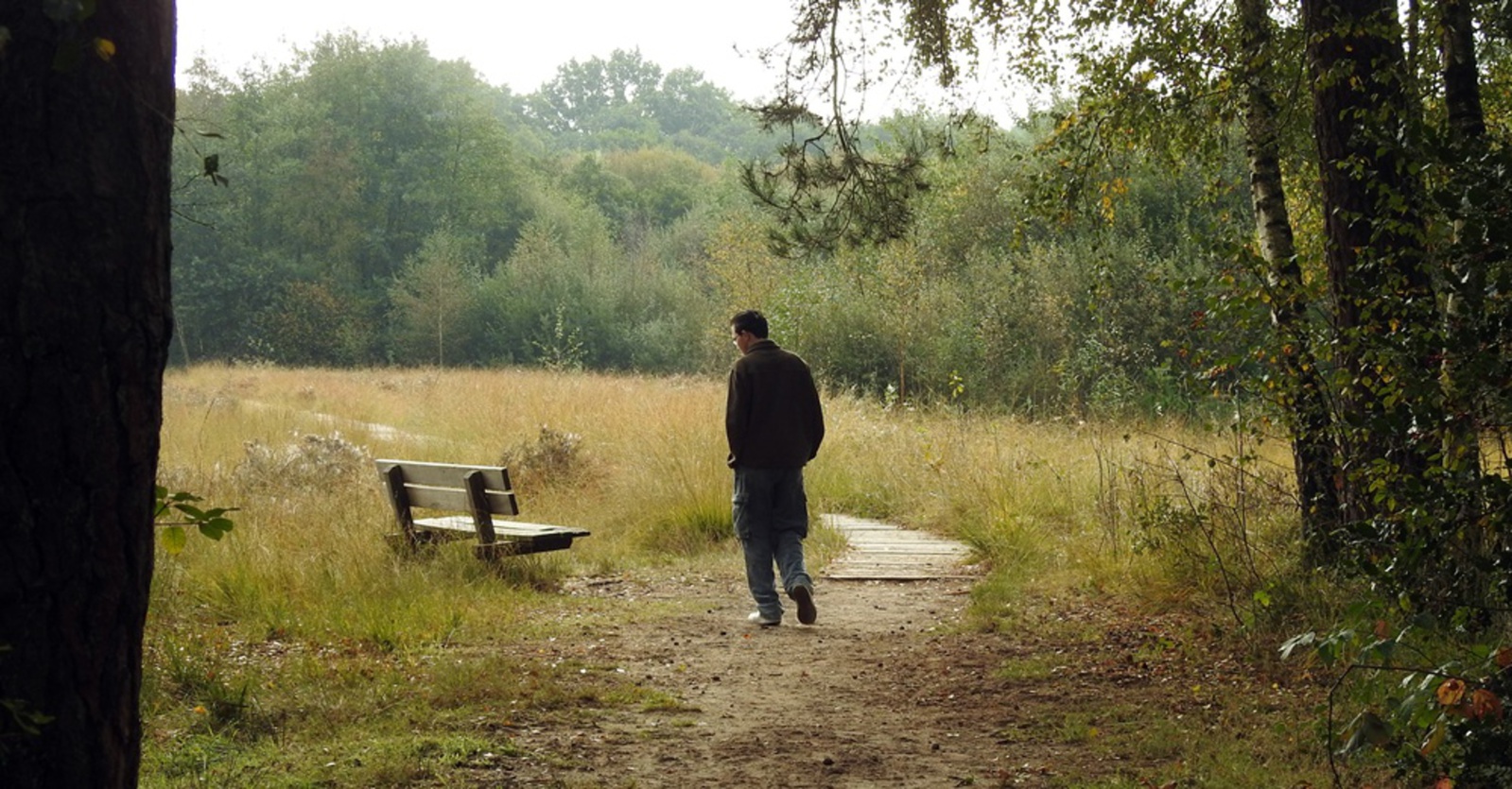 HERFSTBEELDEN in Barneveld