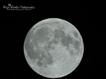 De maan is een fantastisch fenomeen, ik maak er regelmatig foto's van. Helemaal nu ik een camera heb waar een speciale maanstand op zit.