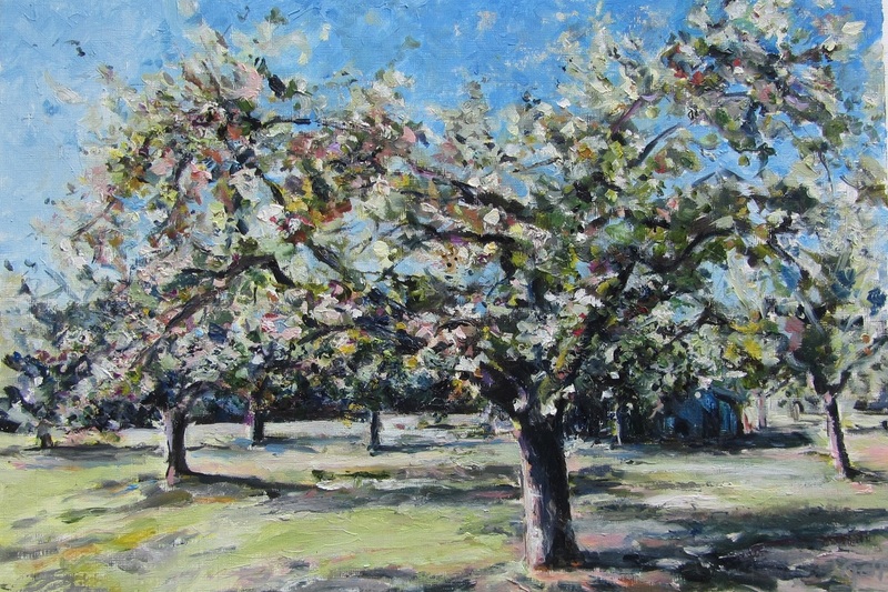 boomgaard De Horden 2