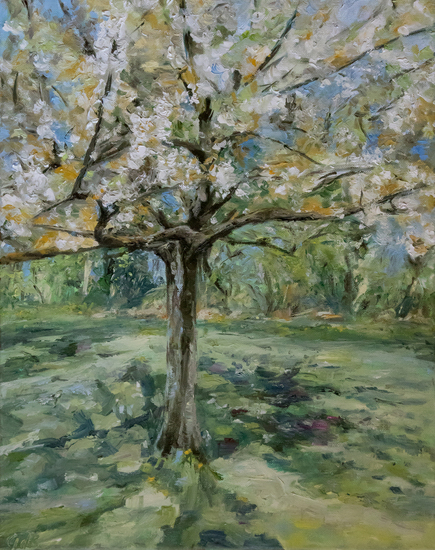 lente, kersenbloesem