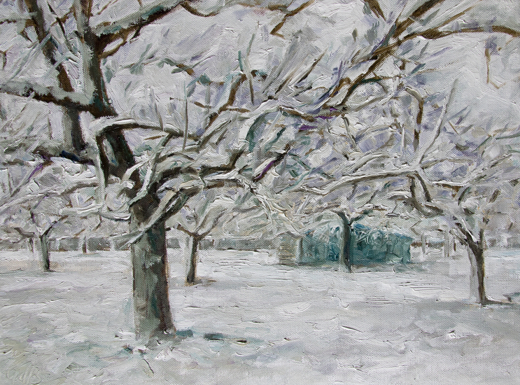 sneeuw in de boomgaard