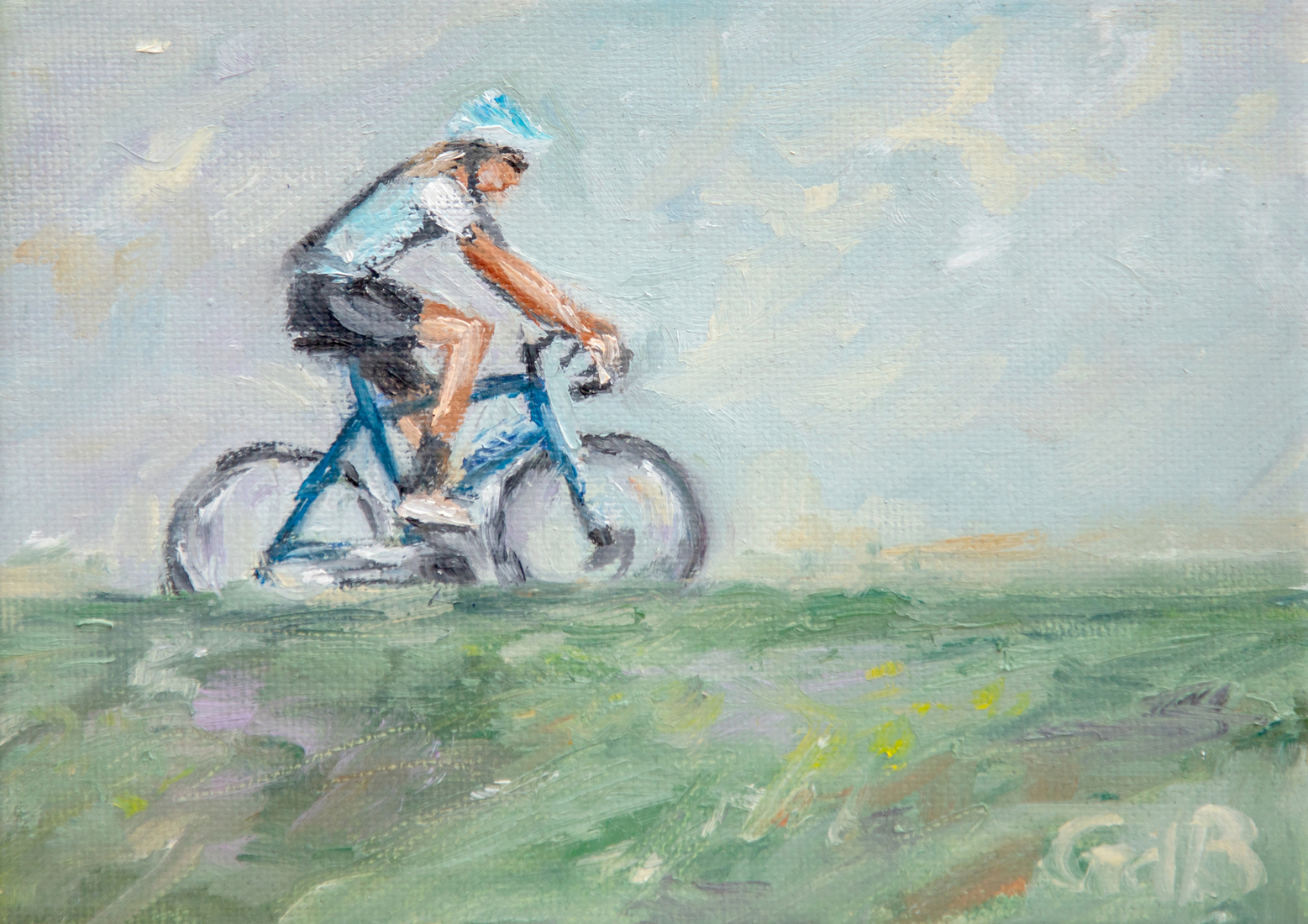 Fietser op de dijk 2