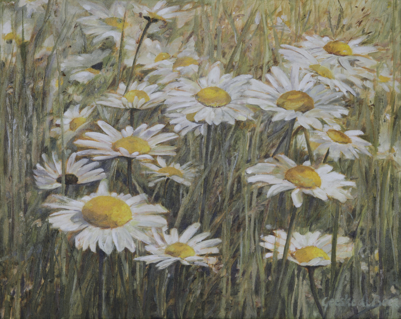 Margrieten