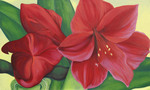 Bloemen - schilderijen: een selectie van olieverfschilderijen op doek