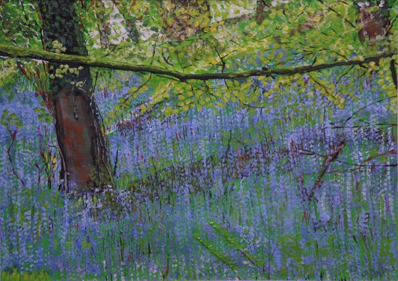 Lentebloemen onder een overhangende tak