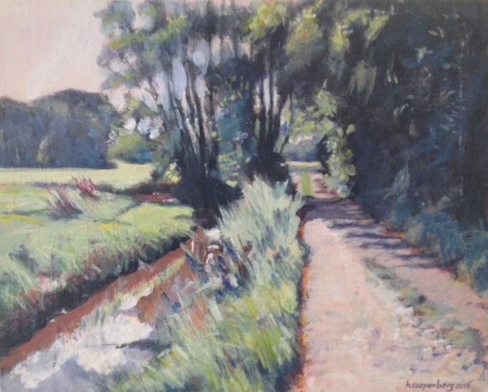 Weg langs de Reest bij Den Kaat