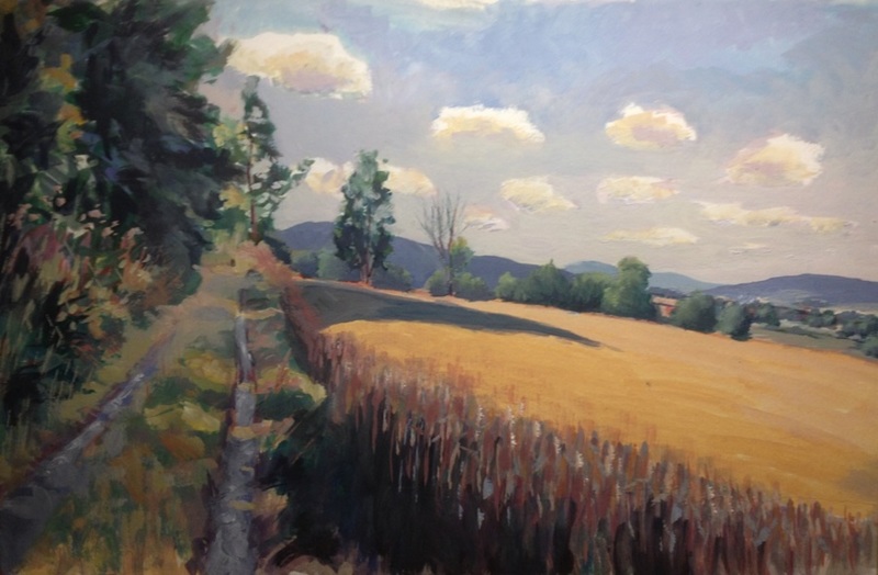 Korenveld in het Weserbergland.