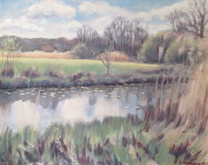 Oude Vechtarm Varsen 2