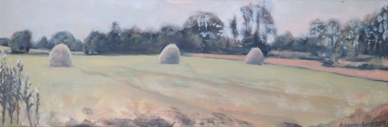 Hooiland bij Loon in Drenthe.