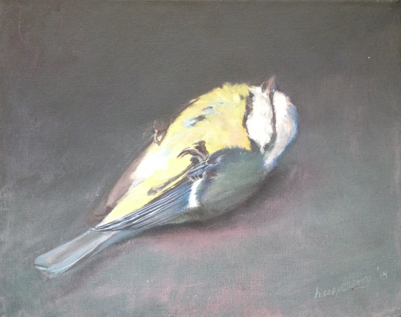 stilleven pimpelmees