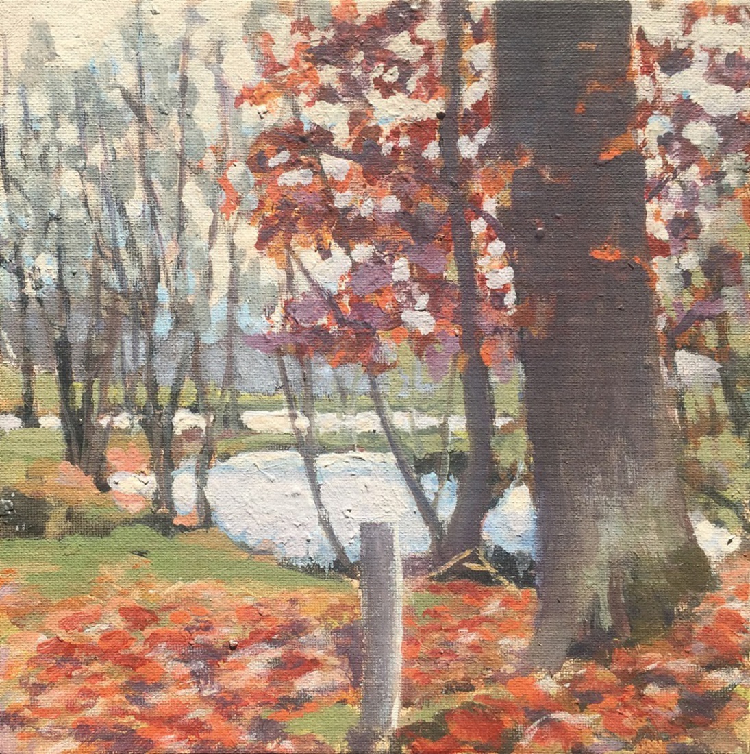 Herfst langs de Vecht in Holtheme