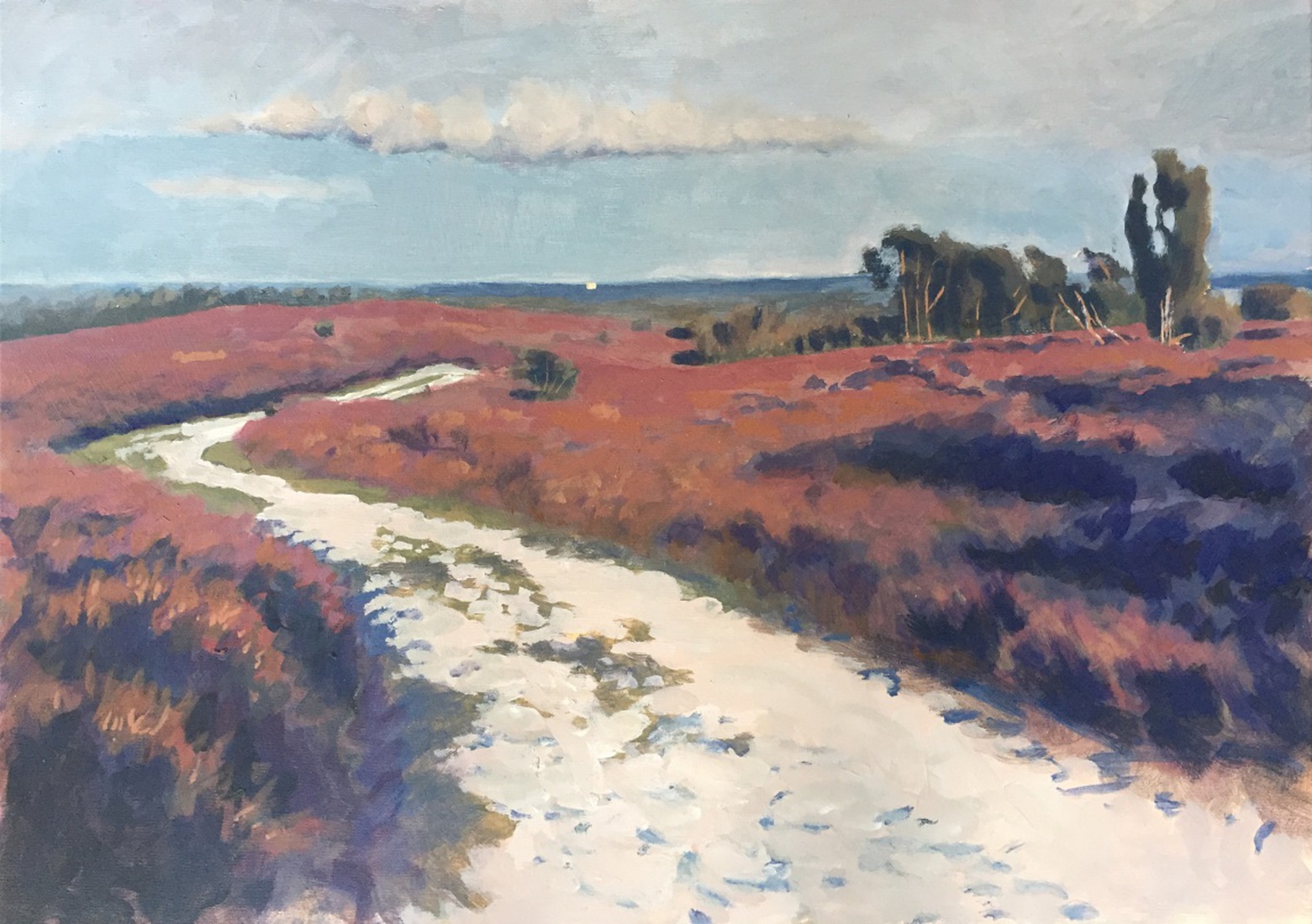 Heidelandschap Archemerberg