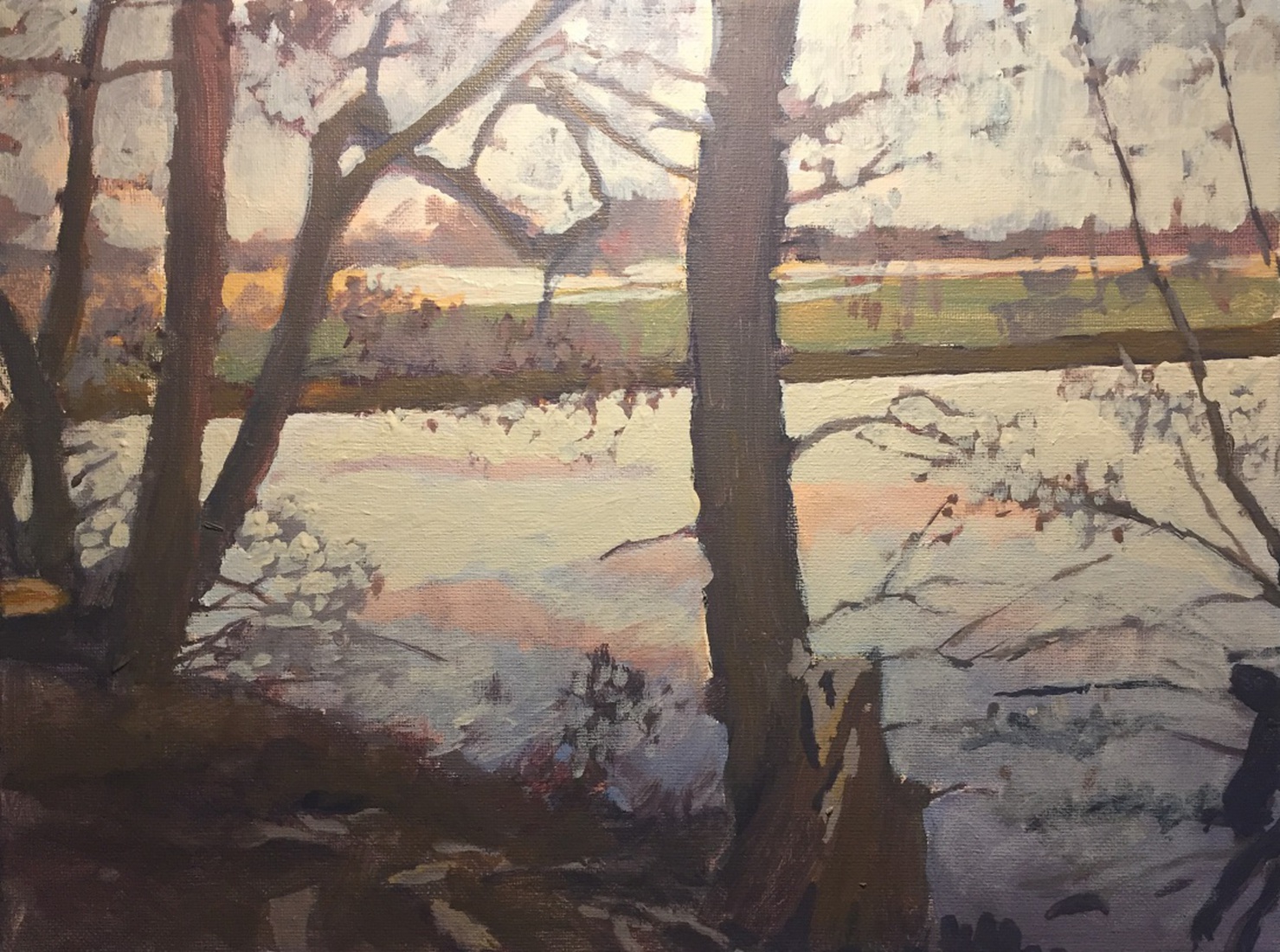 Vechtarm bij de Haandrik Holtheme