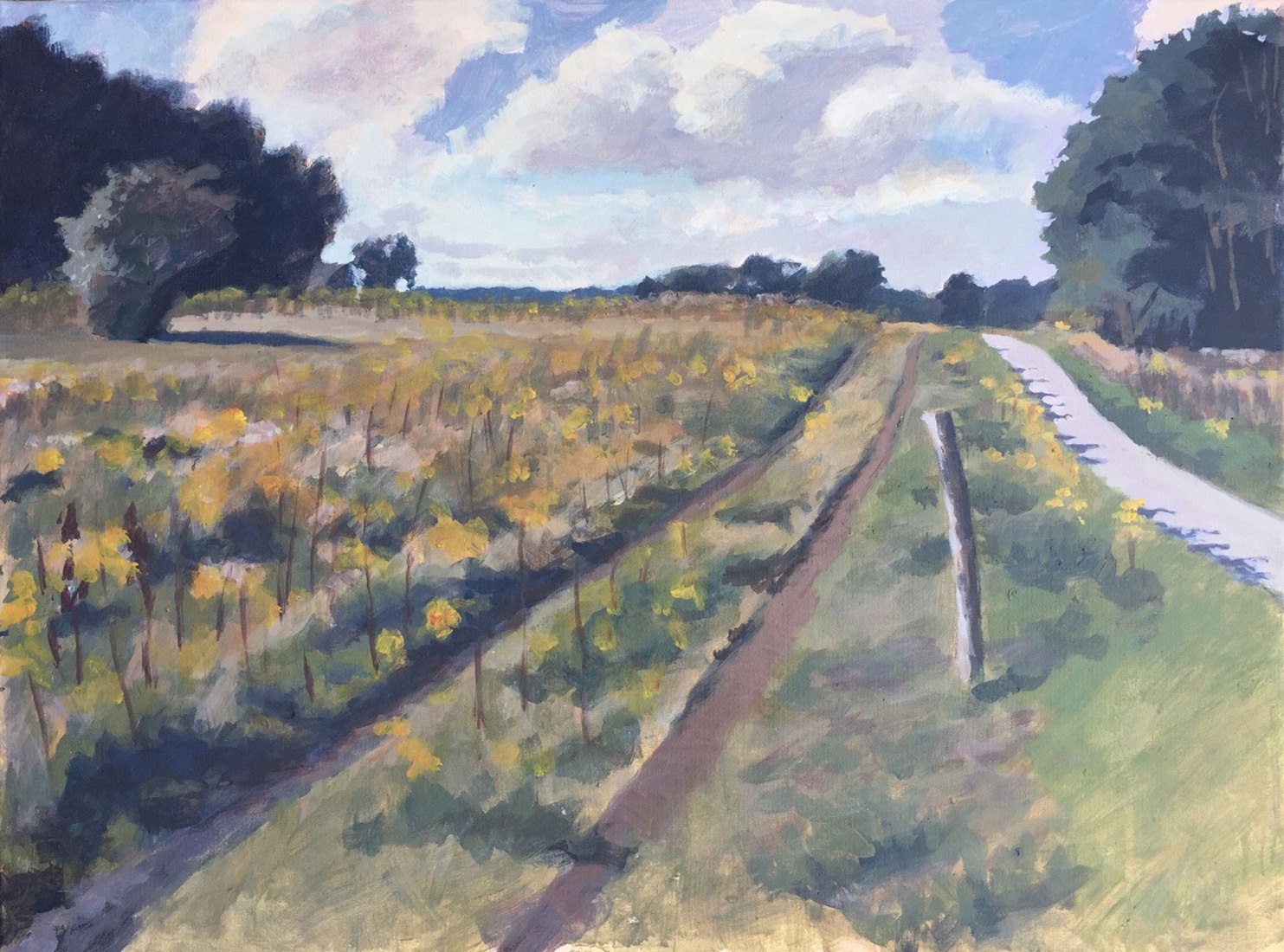 Rivierduinen bij de Vecht in Varsen.