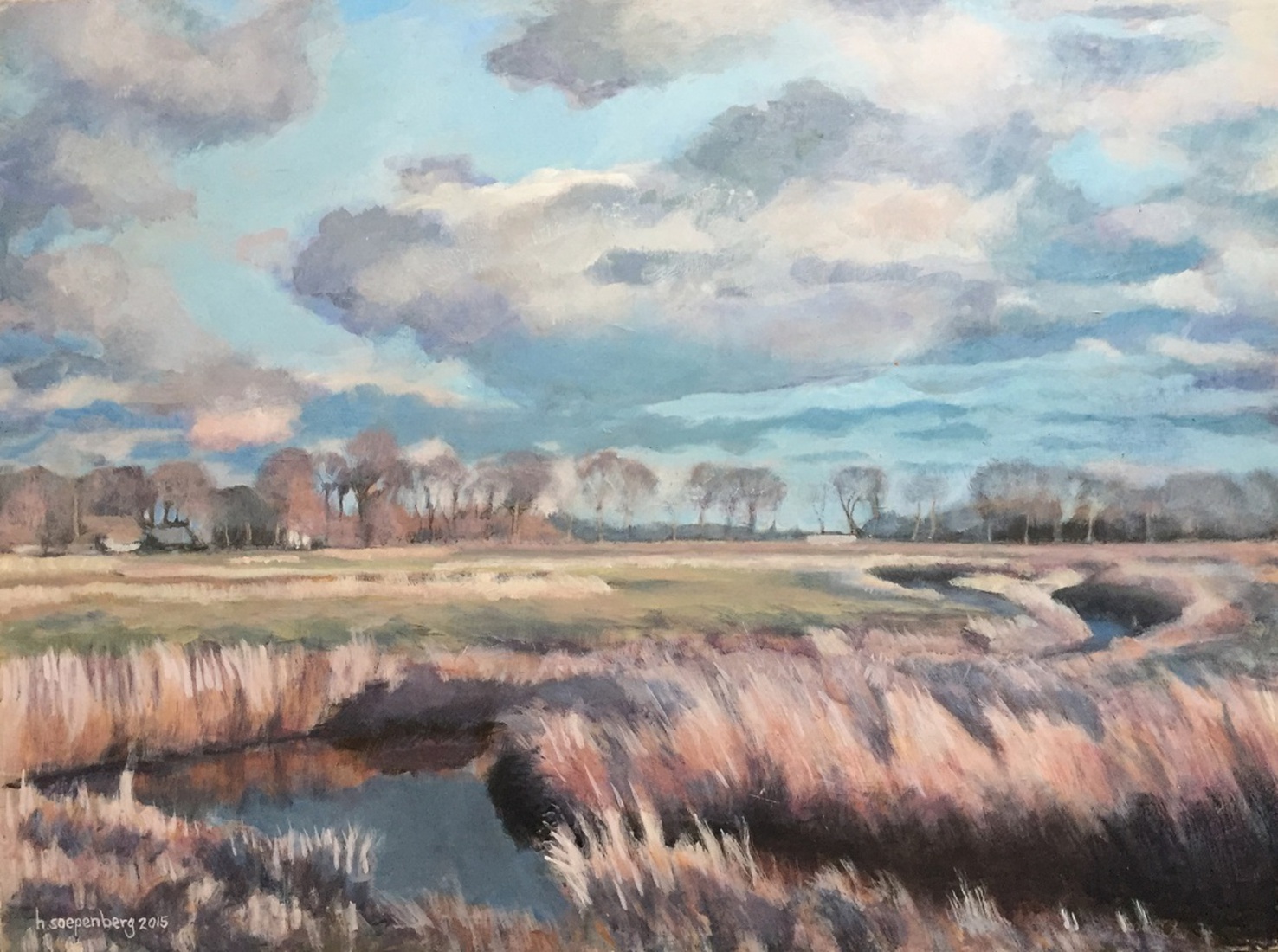 De Reest bij Dedemsvaart