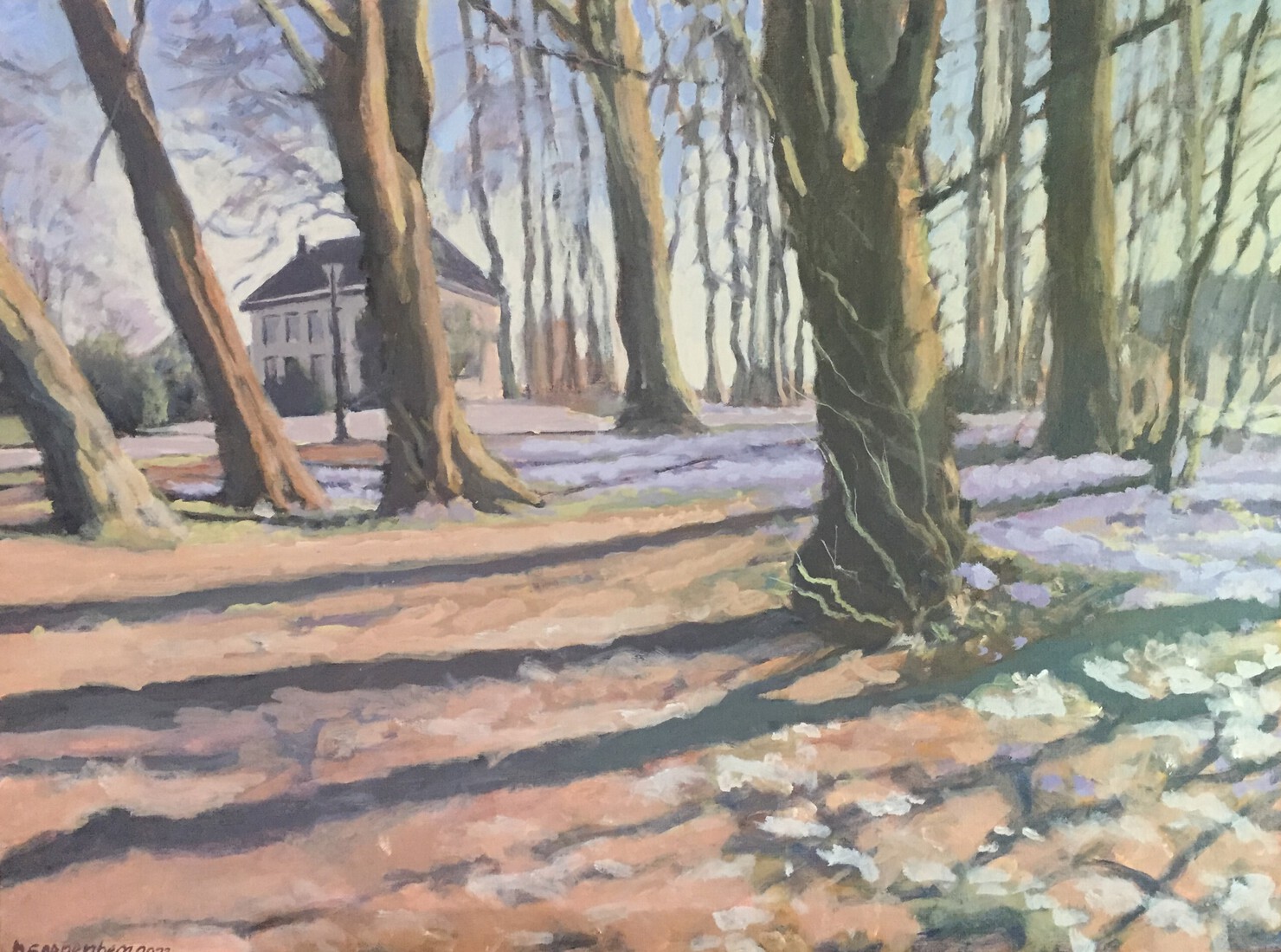 Crocussen bij Dedemsvaart