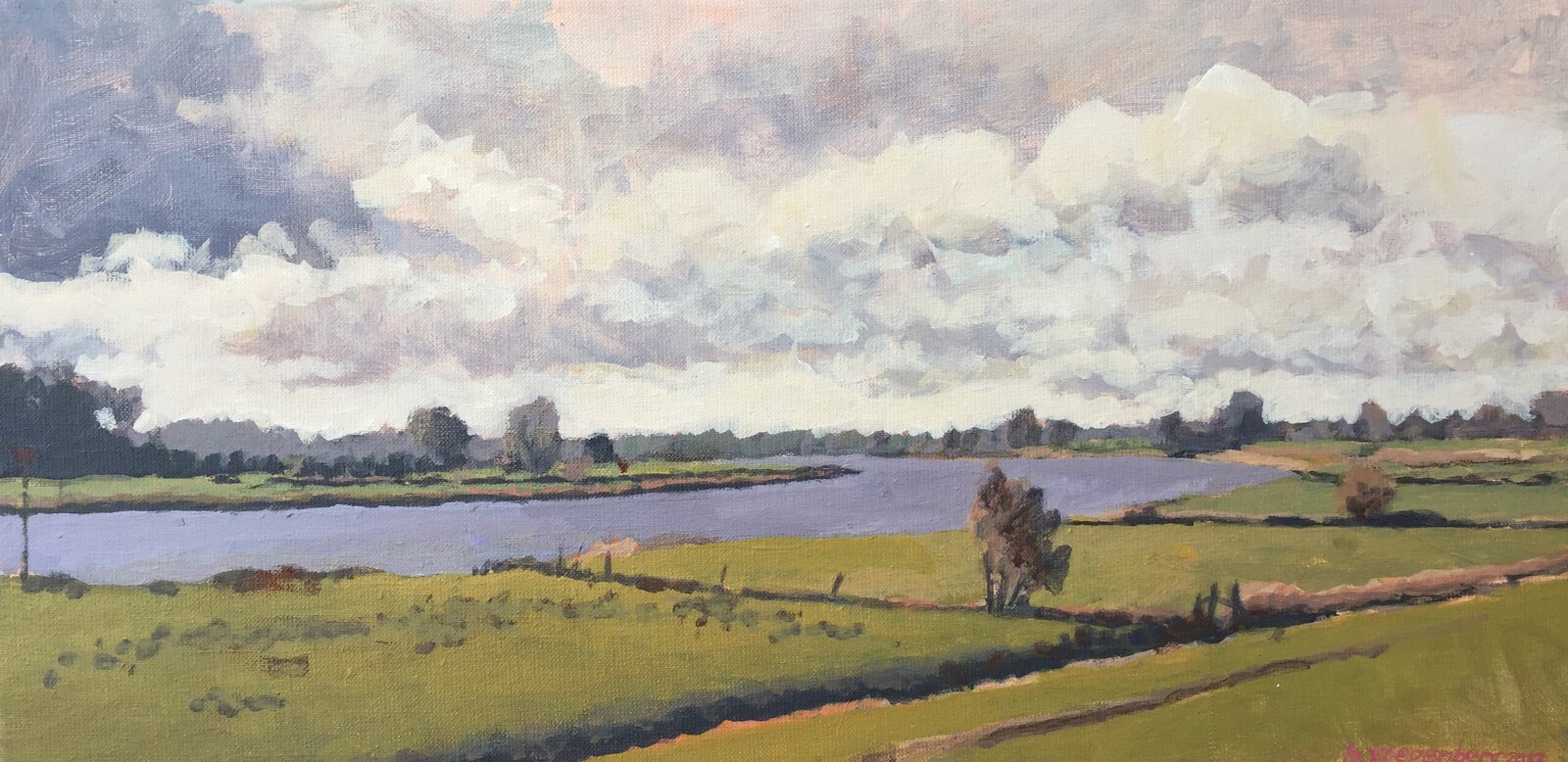 IJssellandschap bij 's Heerenbroek.