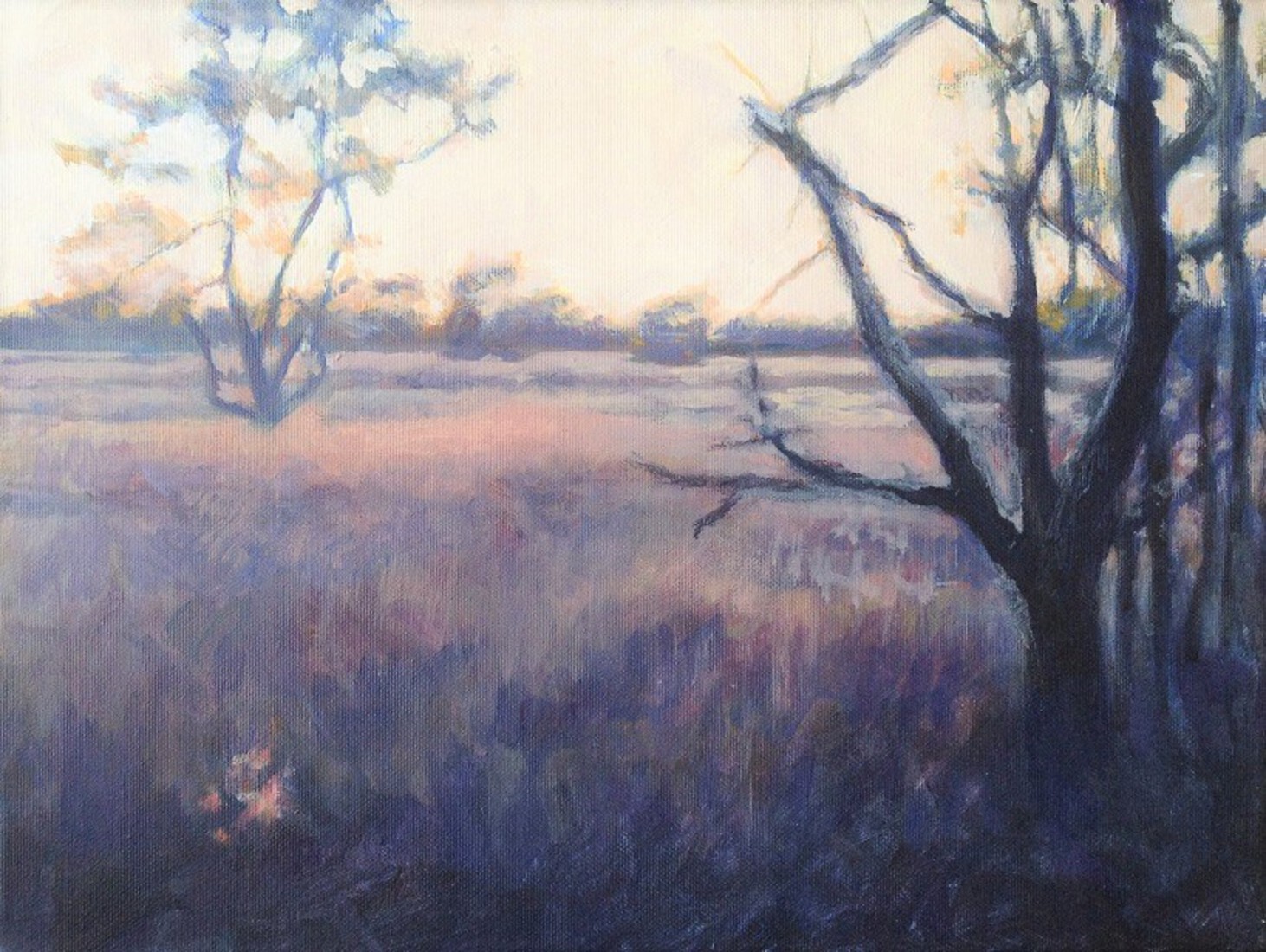 Het Beerzerveld bij avond.