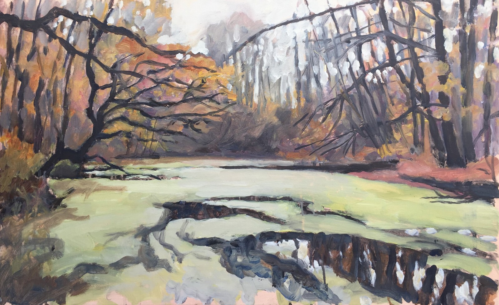 Oude Regge arm bij Steile Oever