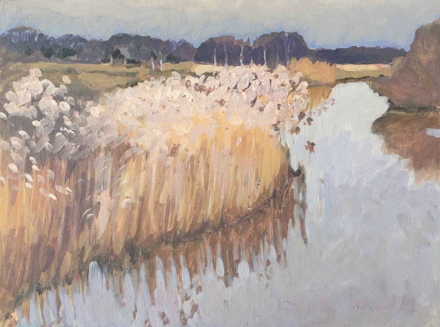 De Regge bij de Belte