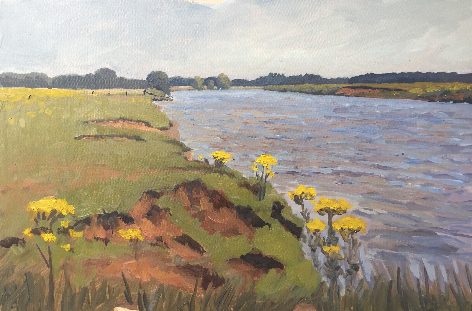 De Vecht bij de Stokte (Dalfsen)