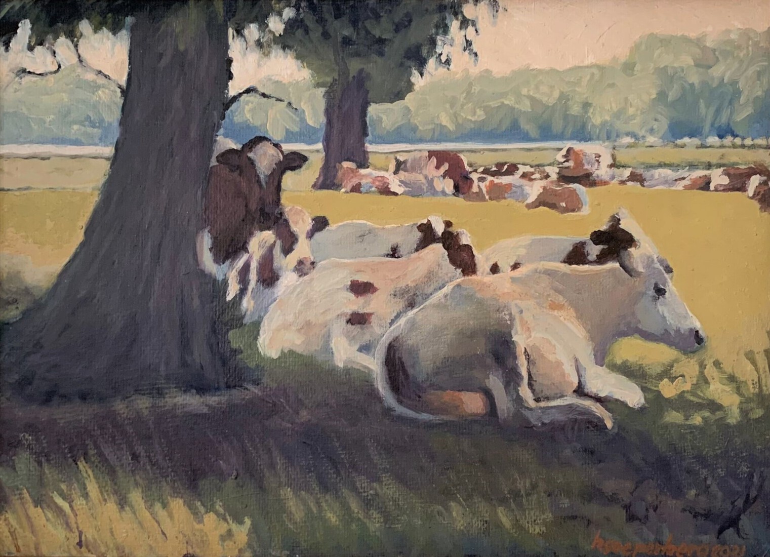 Koeien in de schaduw