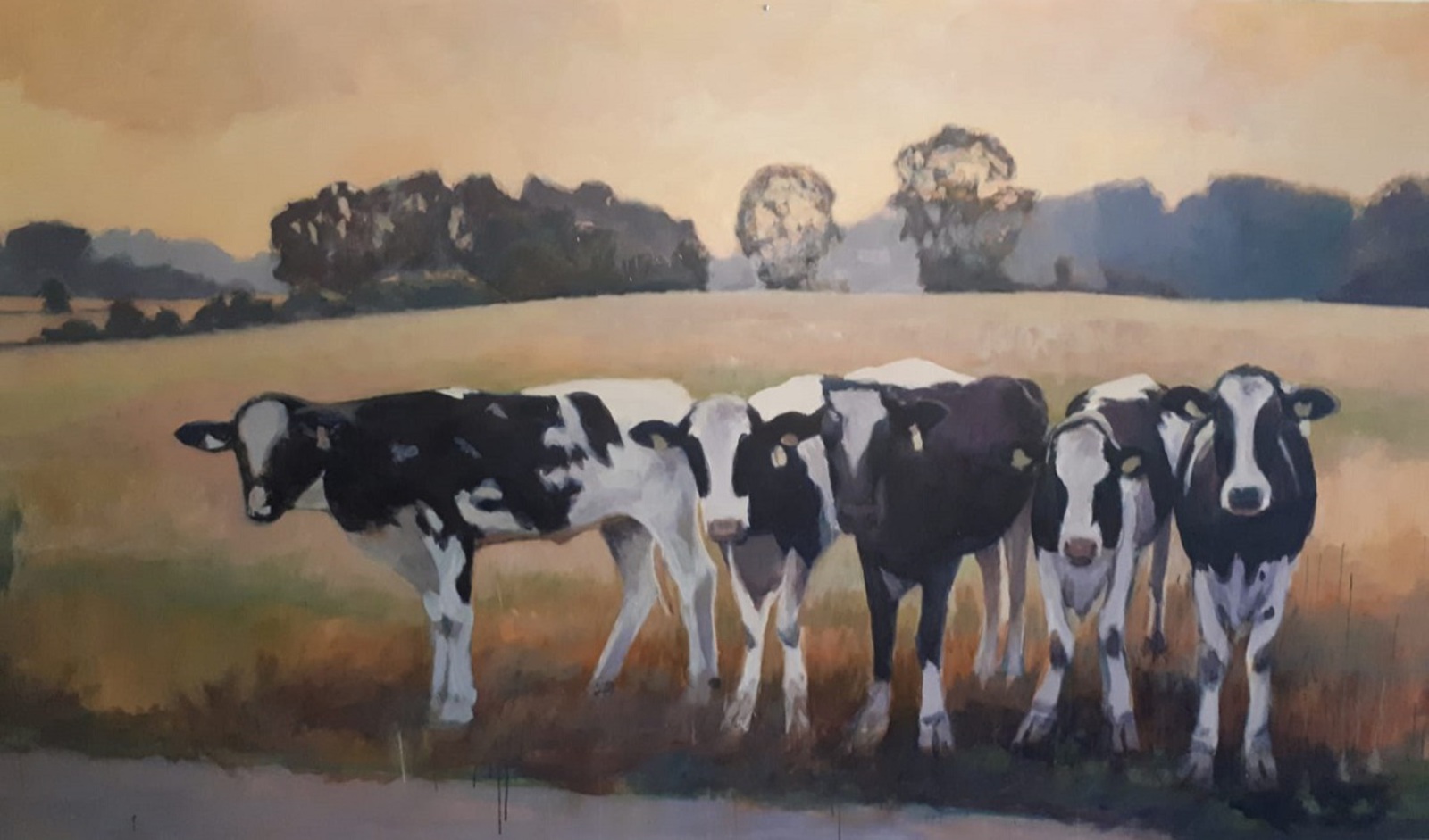 Pinken in het Vechtdal Varsen