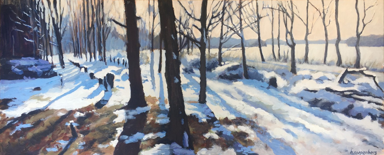 Sneeuwlandschap Holthone