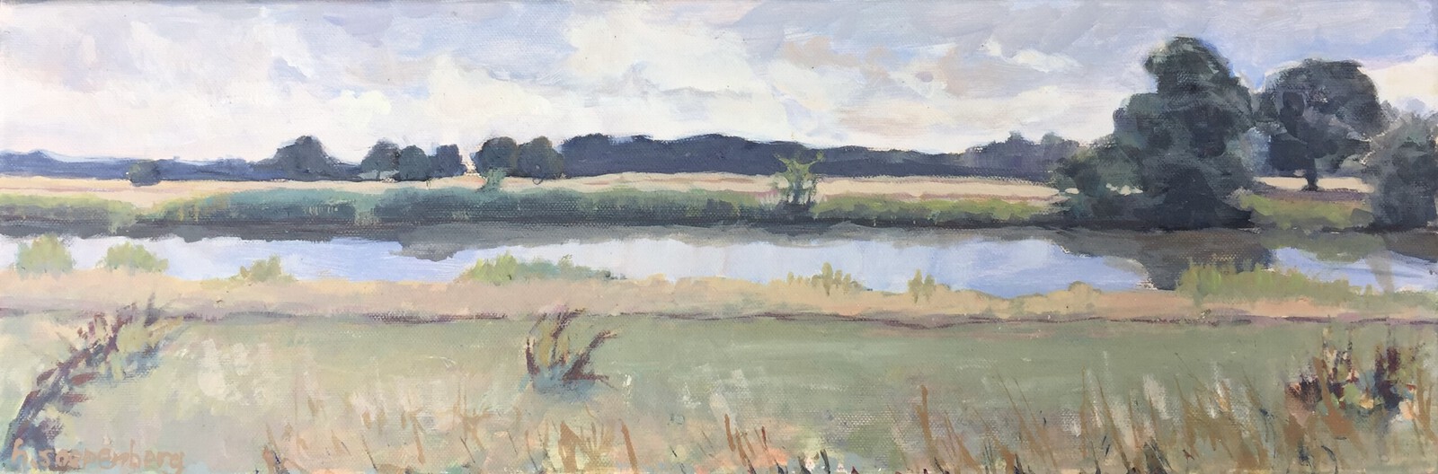 Oude Vechtarm bij Vilsteren