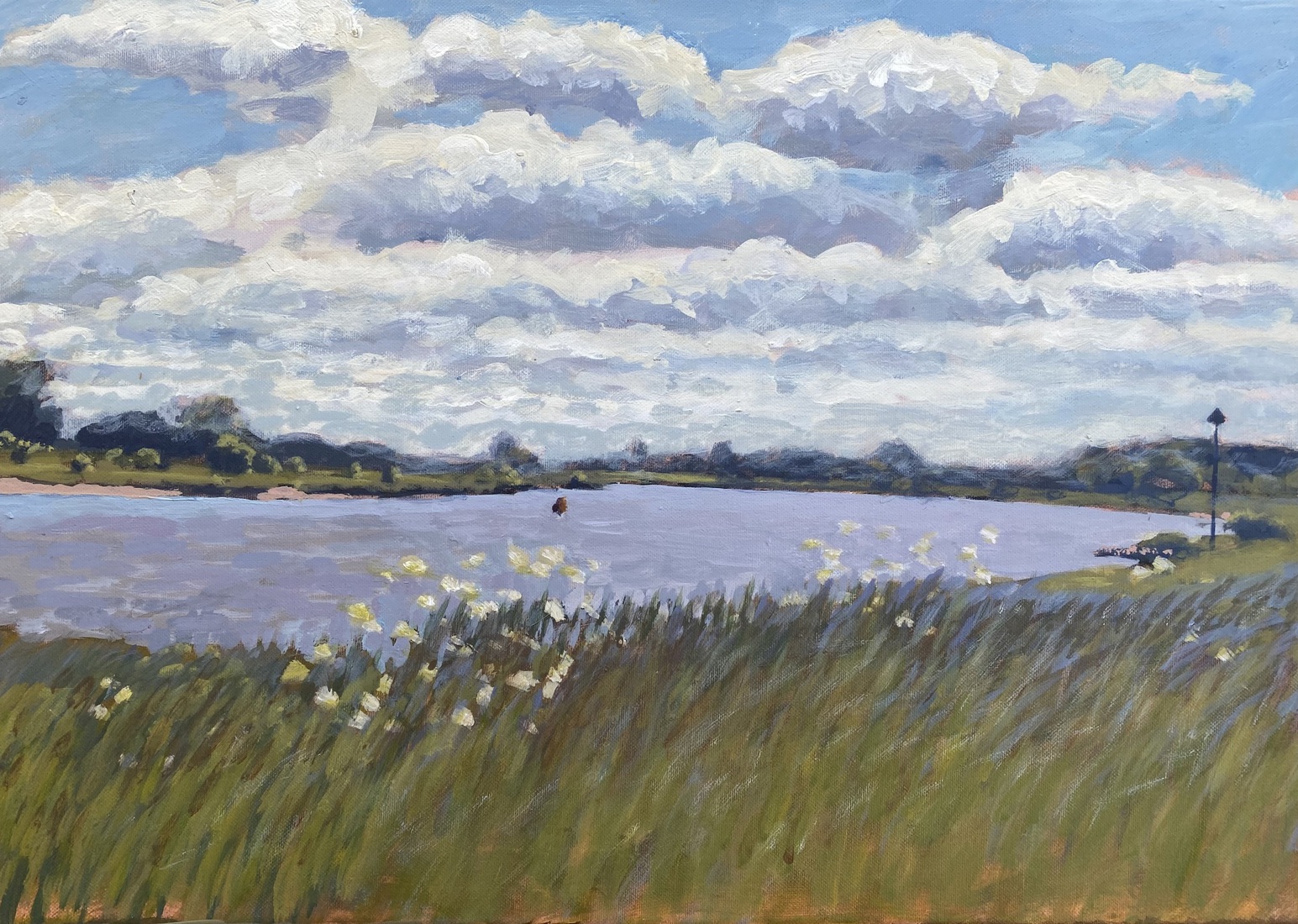 Zomers IJssellandschap bij Zalk