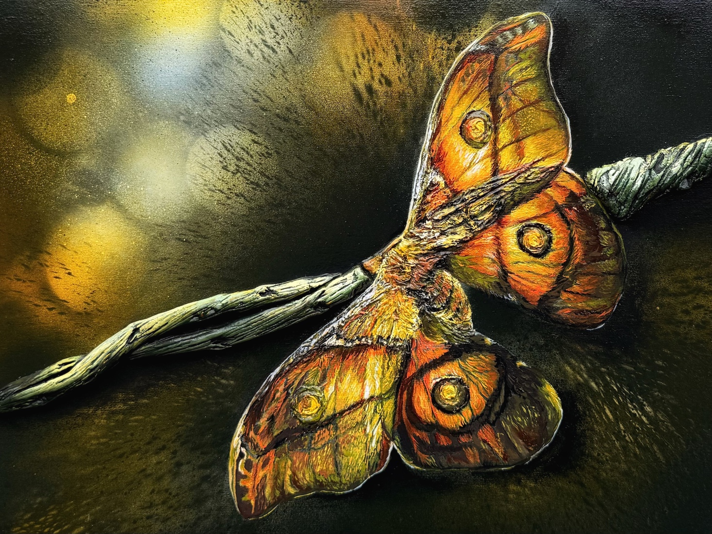 Night butterfly