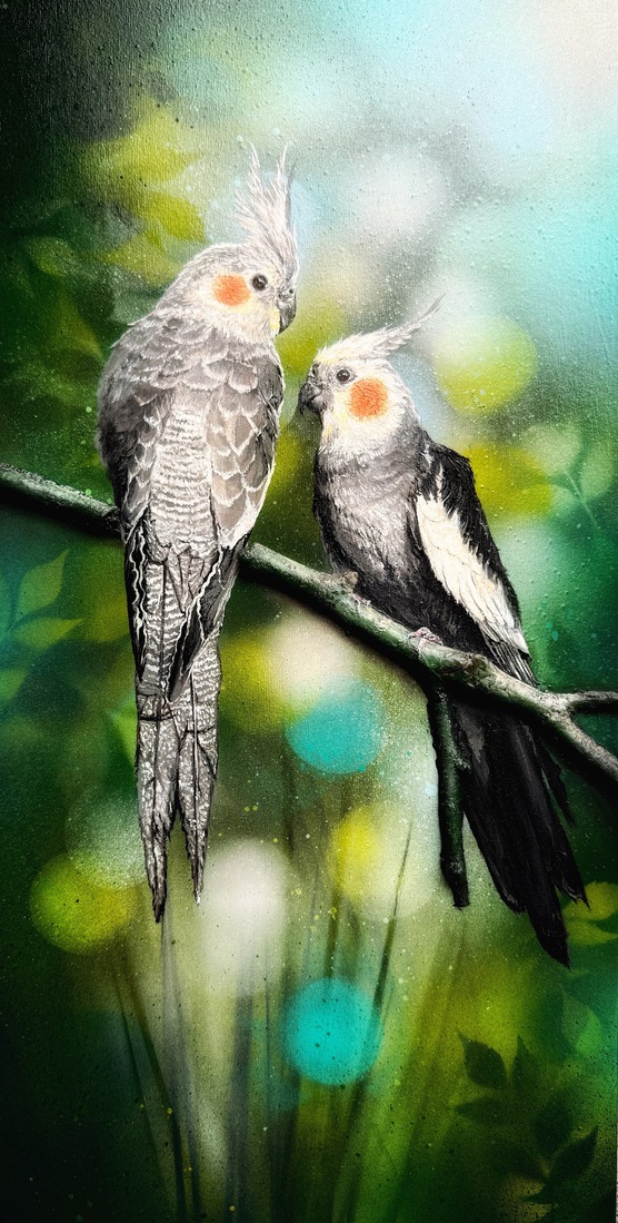 vogel #32 (valkparkiet) 