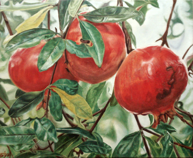 granaatappelen