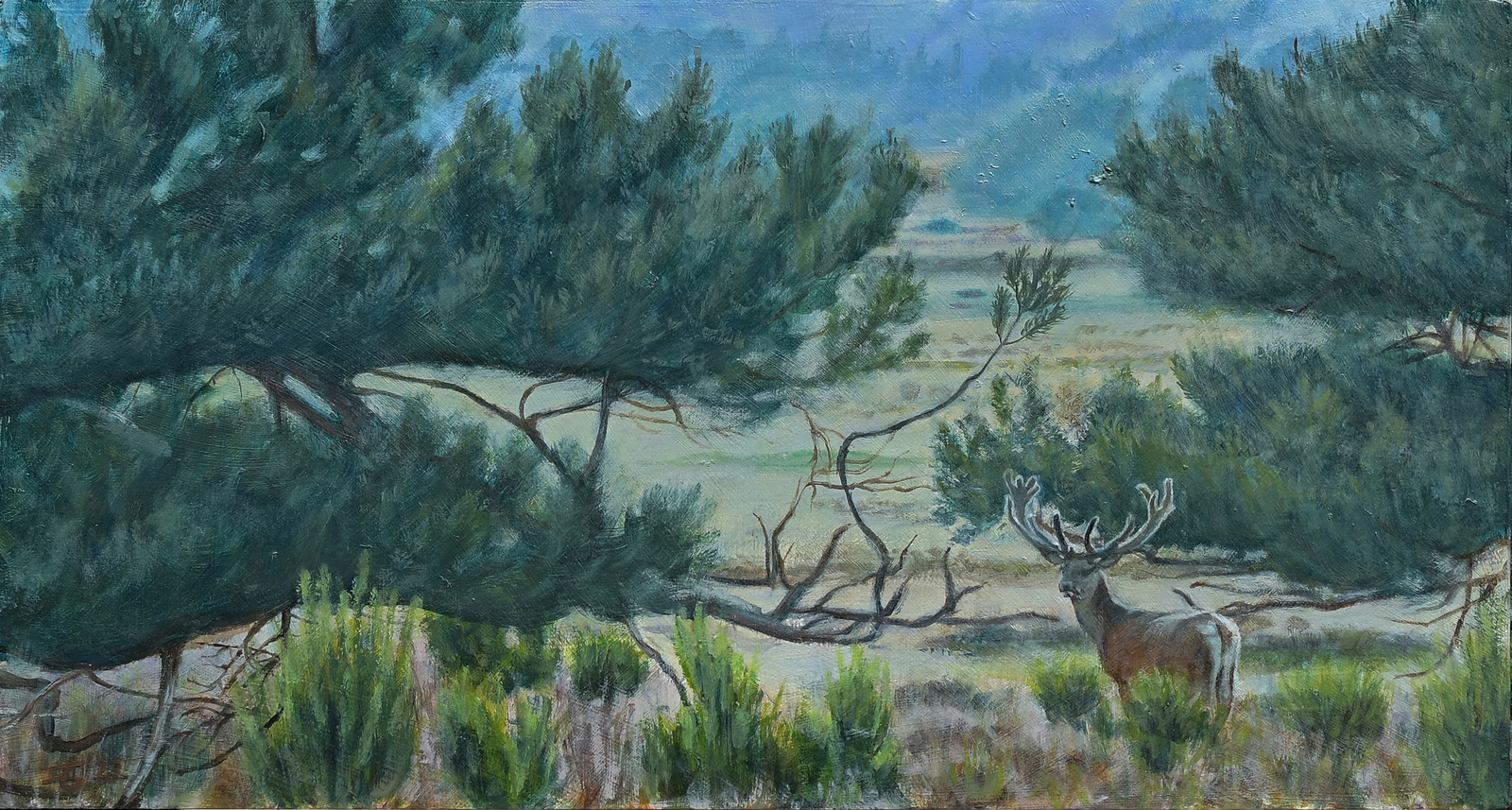 Edelhert op de Hoge Veluwe