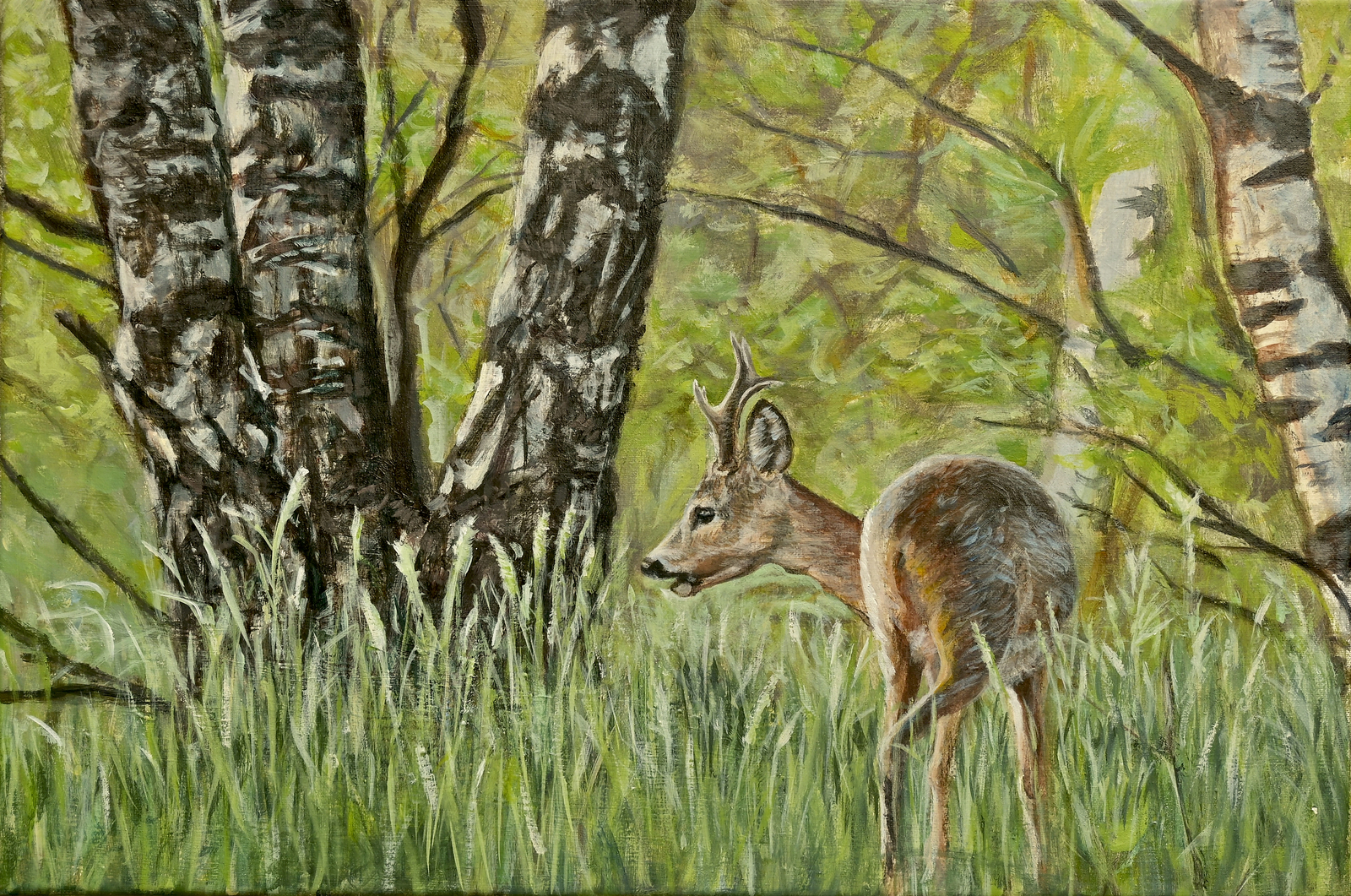 Reebok in de ochtendzon