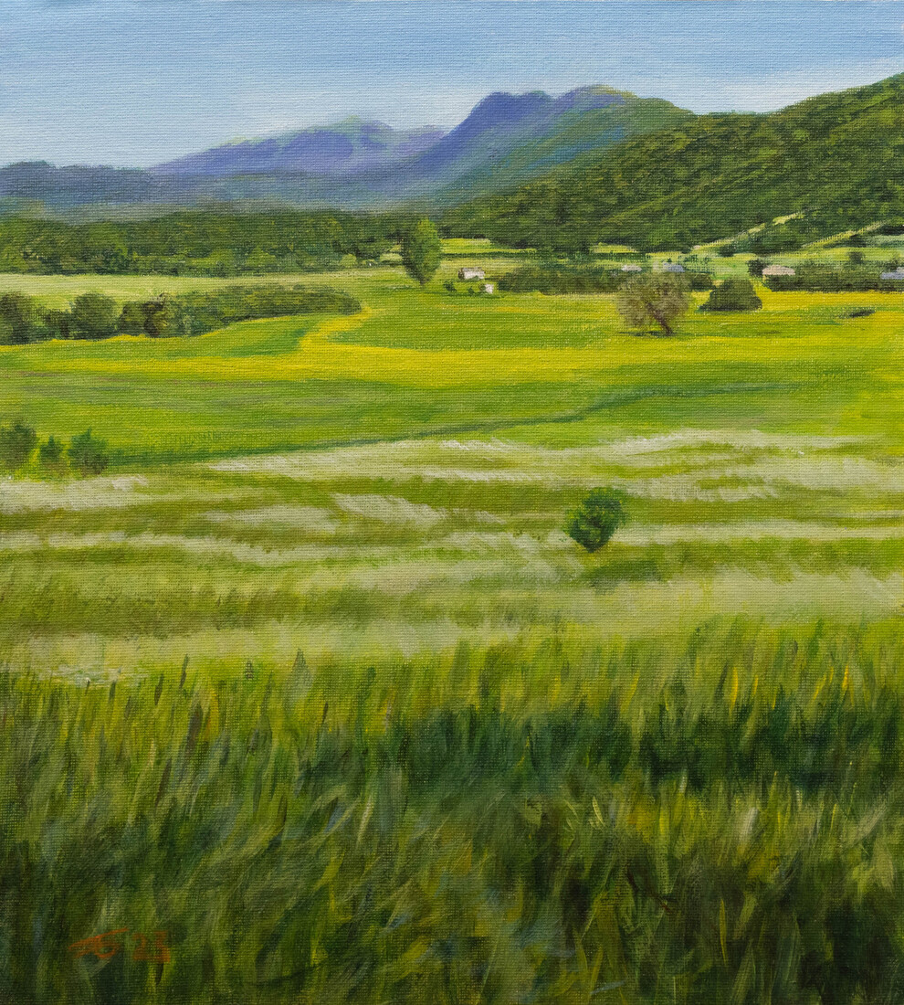 Κυματιστό γρασίδι - Golvend gras