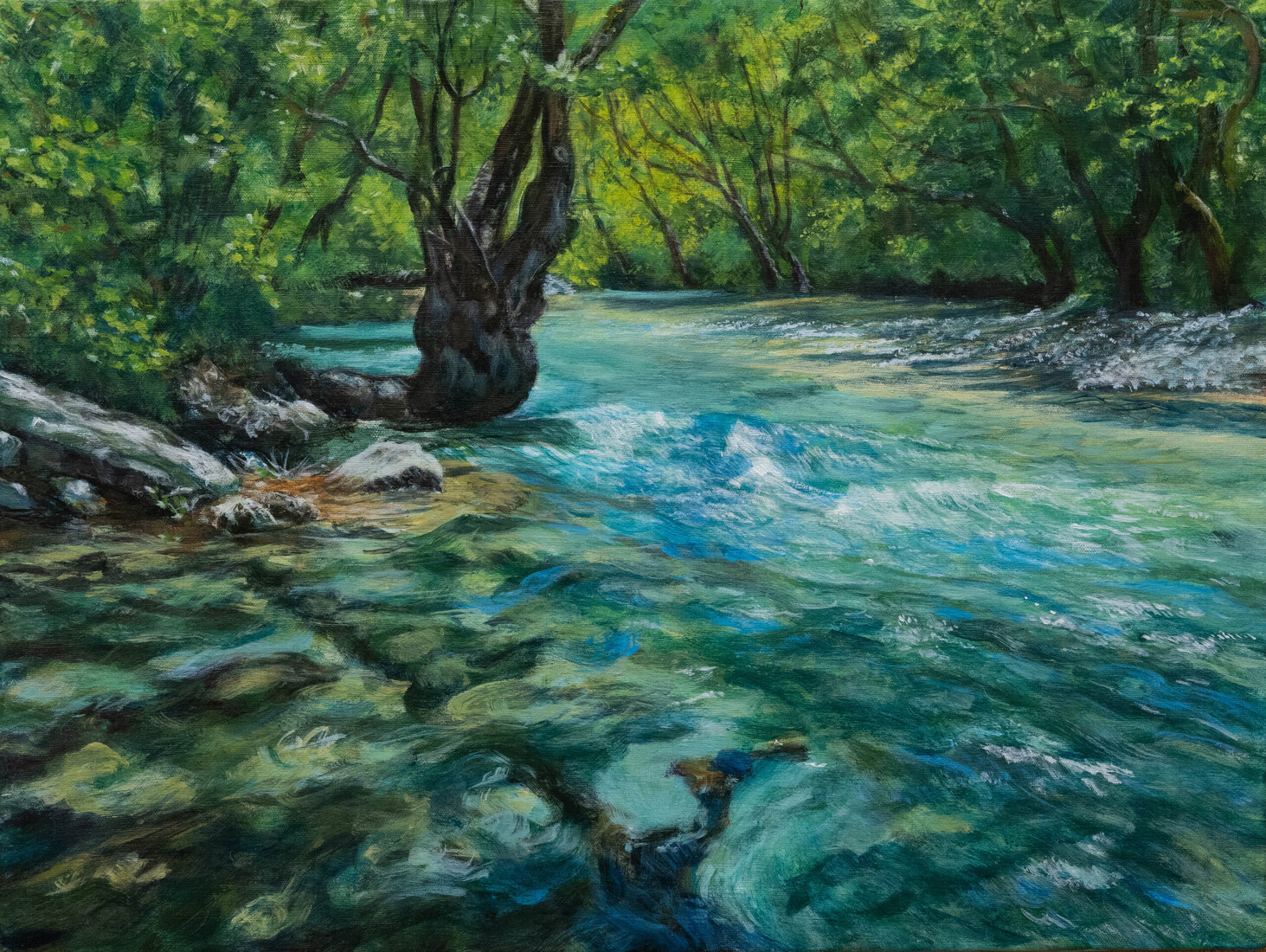 No2 Ποτἀμος Βο­ϊδομἀτισ - Voidomatis rivier 