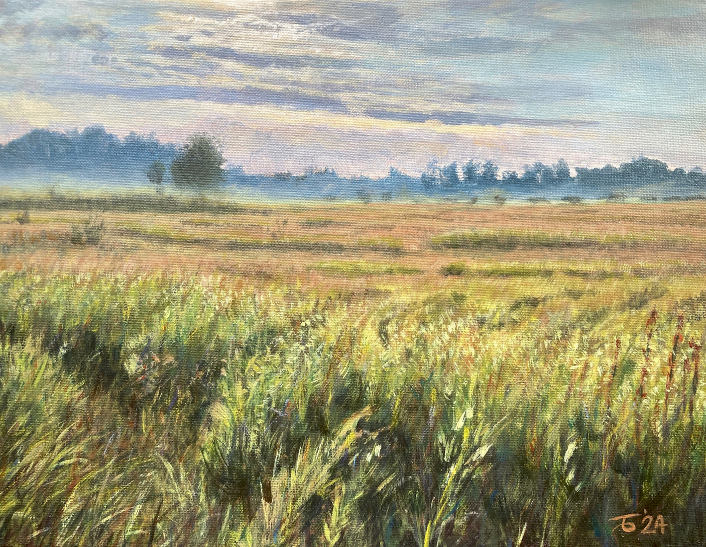 Ochtendgloren bij landgoed MIddachten