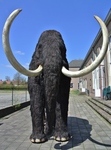 3d life size paleontologische modellen, realistisch