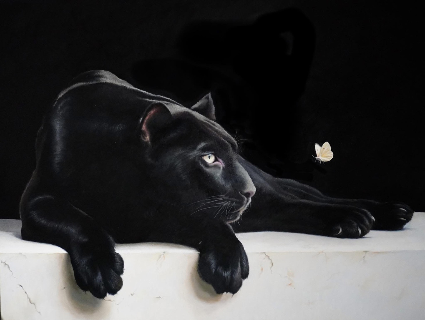 The power of innocence