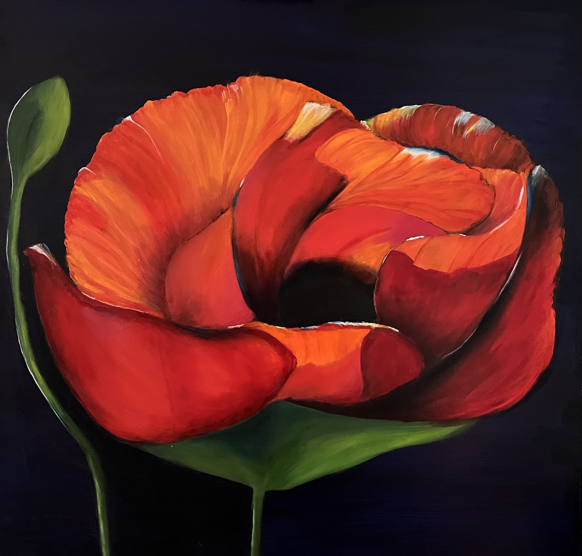 Poppy’s are everywhere