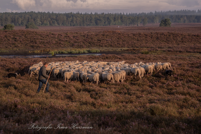 vroeg in de ochtend