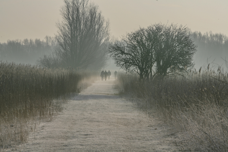 mist in de ochtend
