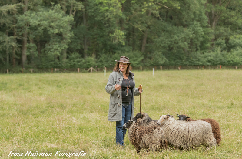 schapen scheren
