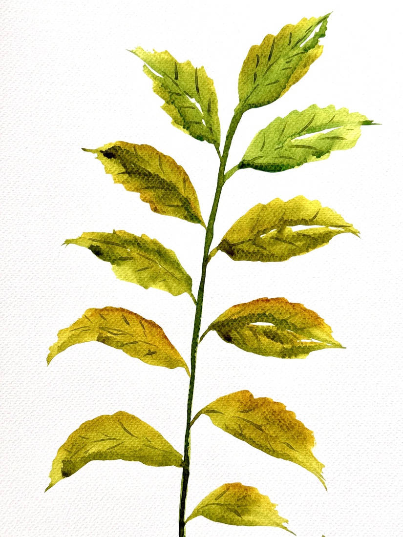 Aquarel 107