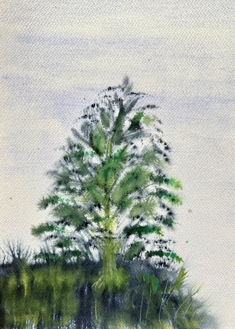 Aquarel 114